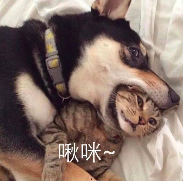 二哈吃瓜娱乐圈百度云,娱乐圈风云录  第1张 二哈吃瓜娱乐圈百度云,娱乐圈风云录  第1张