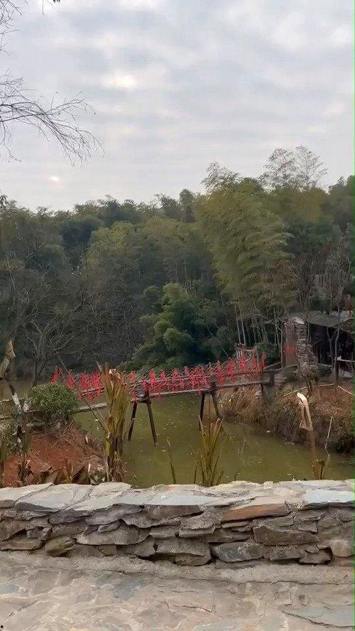花溪新闻爆料网最新,揭秘最新热点事件,追踪社会动态