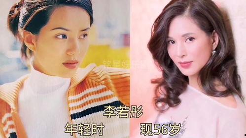 娱乐圈大爆料刘些宁,揭秘明星背后的真实故事  第3张 娱乐圈大爆料刘些宁,揭秘明星背后的真实故事  第3张