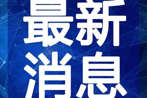 新闻爆料袭警视频大全最新,现场惊心动魄,警方严正声明