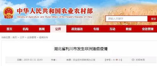 利川市新闻媒体爆料,重大事件引发社会关注!  第3张 利川市新闻媒体爆料,重大事件引发社会关注!  第3张